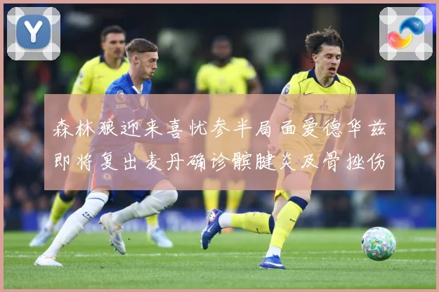 森林狼迎来喜忧参半局面爱德华兹即将复出麦丹确诊髌腱炎及骨挫伤成长观察：最新赛事动态与深度分析
